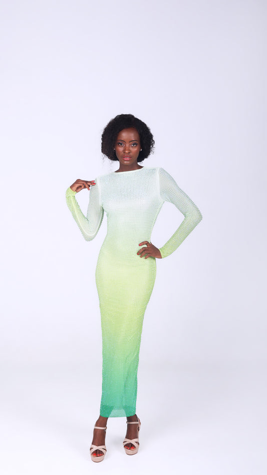 JASMIN LONG SLEEVE GRADIENT MESH RHINESTONE DRESS